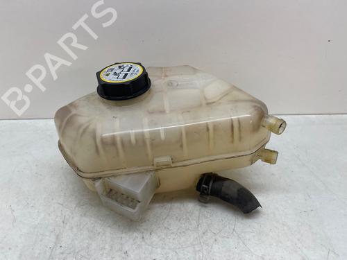 Used Expansion tank FORD FIESTA VI (CB1, CCN) 1.4 (97 hp) 30288038