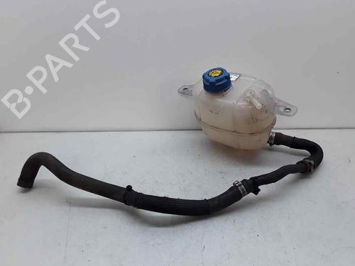 Used Expansion tank FIAT FIORINO Box Body/MPV (225_) [2007-2025]  24878556