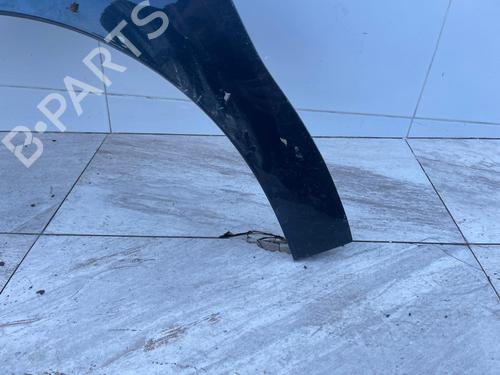 Left front fenders CITROËN C4 II (NC_) | BP31117917C41