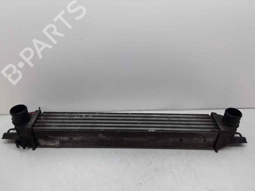 Intercooler CITROËN NEMO Box Body/MPV (AA_) | BP23534650M30