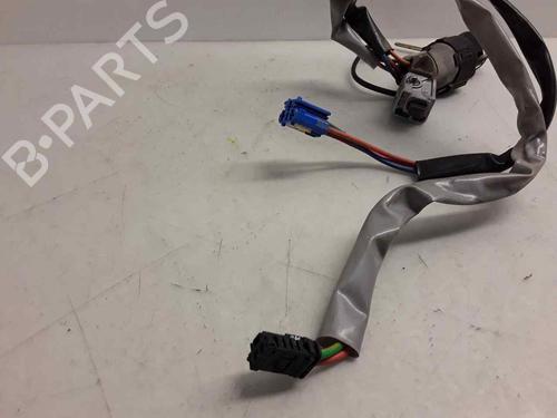 Electronic module PEUGEOT PARTNER MPV (5_, G_)  | BP29167253M83