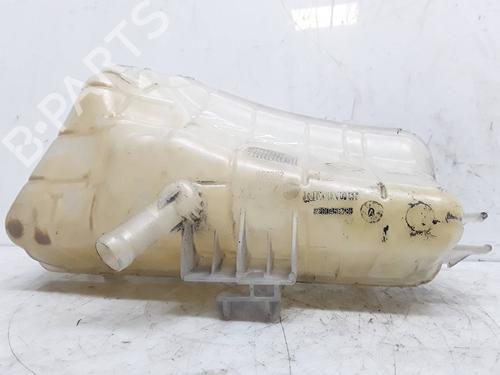 Used Expansion tank RENAULT KANGOO Express (FW0/1_) [2008-2025]  8303543