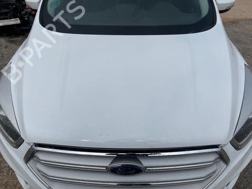 Hood FORD KUGA II (DM2)  | BP29313676C1 