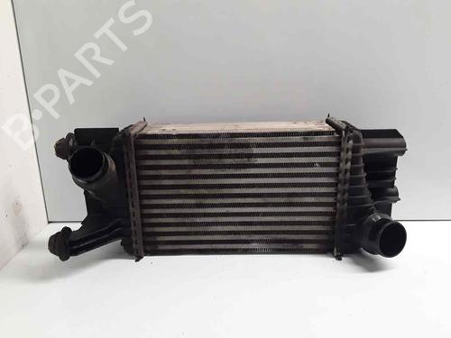 Intercooler NISSAN JUKE (F15) [2010-2019]  31982505