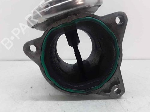 Egr AUDI A3 (8P1)  | BP24494082M69 