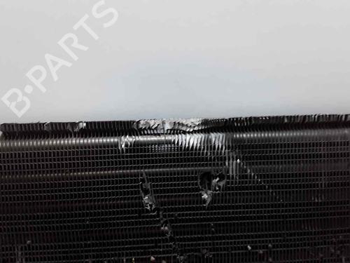 Intercooler CITROËN EVASION MPV (22, U6) 1.9 TD | BP22410407M30 