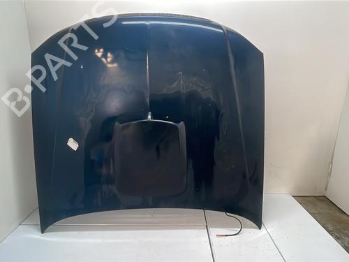 hood-hyundai-terracan-hp-2001-2002-2003-2004-2005-2006-2007-2008-36392569 main image