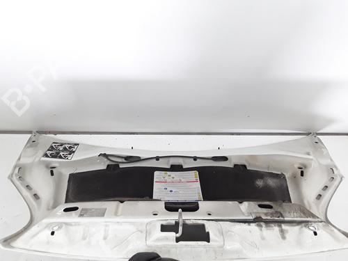 Hood FIAT FIORINO Box Body/MPV (225_) 1.3 D Multijet (225BXD1A, 225BXB1A, 225BXB11) | BP16042767C1 
