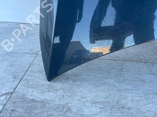 Hood CITROËN C4 II (NC_) | BP31117919C1