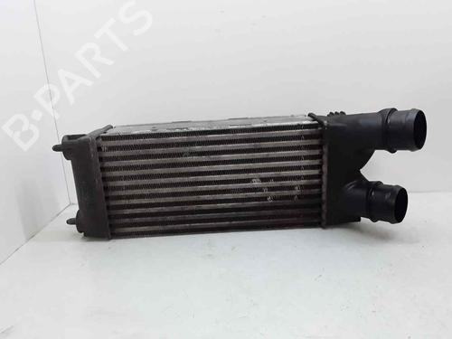Intercooler PEUGEOT PARTNER Tepee [2008-2025]  25252754