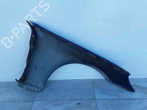 Left front fenders MERCEDES-BENZ C-CLASS (W203) C 200 CDI (203.004) | BP22897960C41 