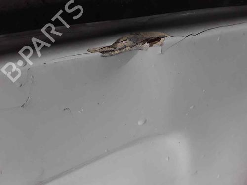Right tailgate IVECO DAILY IV Van 35C13 V, 35C13 V/P, 35S13 V, 35S13 V/P | BP29548566C77 