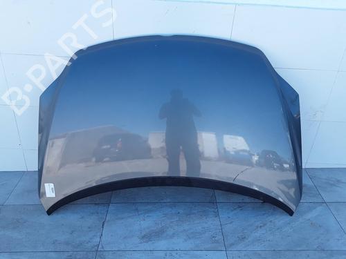 Hood VW GOLF PLUS V (5M1, 521) 1.9 TDI | BP29814119C1
