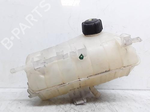 Expansion tank RENAULT KANGOO Express (FW0/1_)  | BP8303543C120 