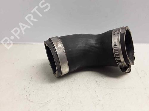 Pipe VW PASSAT B7 (362) 2.0 TDI | BP17313666M125 