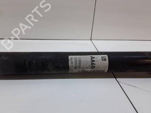 Left rear shock absorber OPEL CORSA D (S07) 1.3 CDTI (L08, L68) | BP15956719M18