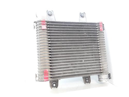 Intercooler KIA CARNIVAL II (GQ) 2.9 CRDi | BP13534532M30 