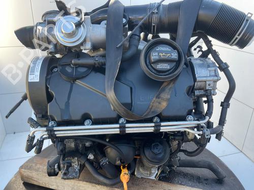 Engine SEAT IBIZA III (6L1)  | BP31177614M1 