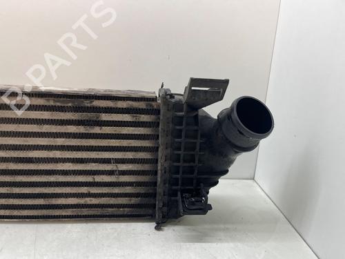 Intercooler VOLVO S40 II (544)  | BP29573724M30 