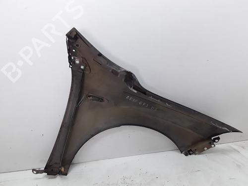 Left front fenders FIAT CROMA (194_) 1.9 D Multijet (194AXC1B, 194AXC12) | BP18510899C41 