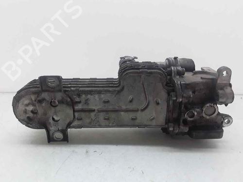 Egr AUDI A3 (8P1)  | BP24494078M69 