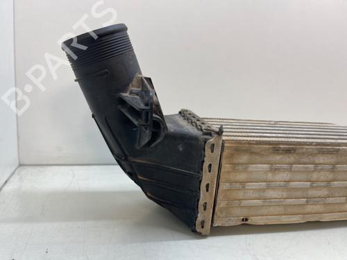 Intercooler SEAT IBIZA IV (6J5, 6P1)  | BP22334225M30 