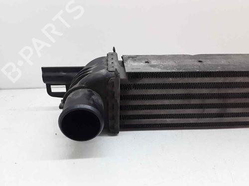 Intercooler CITROËN NEMO Box Body/MPV (AA_) | BP23534650M30