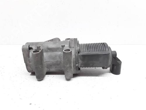 Egr FIAT DOBLO MPV (119_, 223_) 1.9 D Multijet (120 hp) 12605565