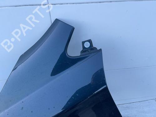Left front fenders CITROËN C4 II (NC_) | BP31117917C41