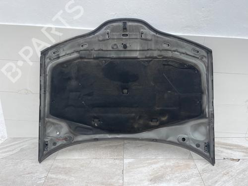 Hood RENAULT LAGUNA II (BG0/1_)  | BP29464744C1 
