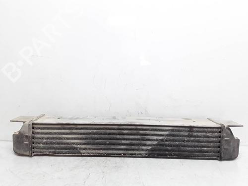 Intercooler BMW 5 (E39) 530 d | BP8270193M30 