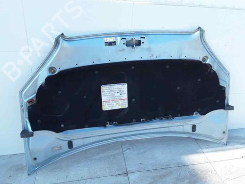 Hood FIAT DOBLO Box Body/MPV (223_) 1.9 JTD | BP23139719C1 