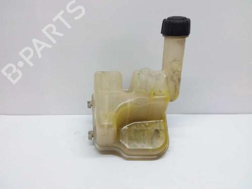 Used Expansion tank RENAULT LAGUNA II (BG0/1_) [2001-2007]  7470710