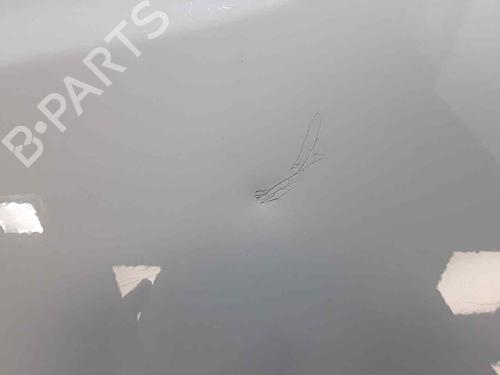 Right front fenders IVECO DAILY IV Van 35C13 V, 35C13 V/P, 35S13 V, 35S13 V/P | BP29548583C42 