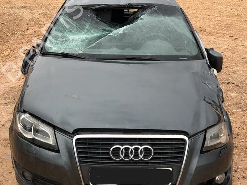 Elektronisk modul AUDI A3 (8P1) 2.0 TDI 16V | BP21728591M83 