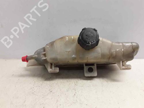 Expansion tank RENAULT CLIO III (BR0/1, CR0/1) 1.4 16V | BP17430367C120 