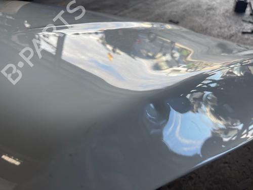 Hood FORD KUGA II (DM2)  | BP29313676C1 