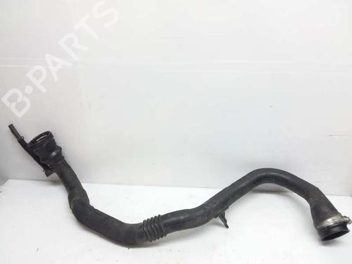 Pipe DACIA SANDERO II  | BP14141985M125 