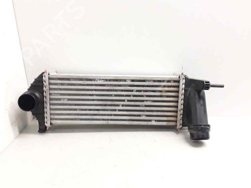 Intercooler RENAULT KANGOO / GRAND KANGOO II (KW0/1_) 1.5 dCi 90 (KW05, KW08, KW0G, KW11) (90 hp) 29437169