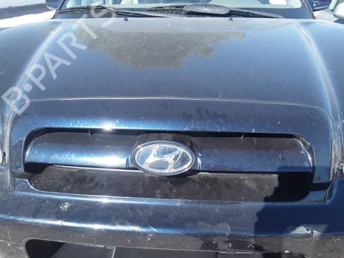 Used Grille HYUNDAI SANTA FÉ I (SM) 2.0 CRDi (113 hp) 12540584