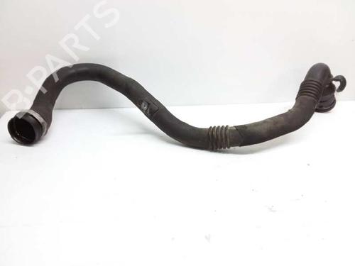 Pipe DACIA SANDERO II  | BP14141985M125 