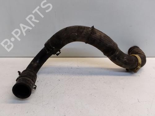 Rør Rør TOYOTA AURIS (_E15_) [2006-2013] 37215991 37215991