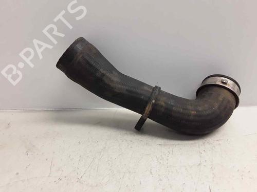 Pipe SEAT IBIZA IV (6J5, 6P1)  | BP18711733M125 