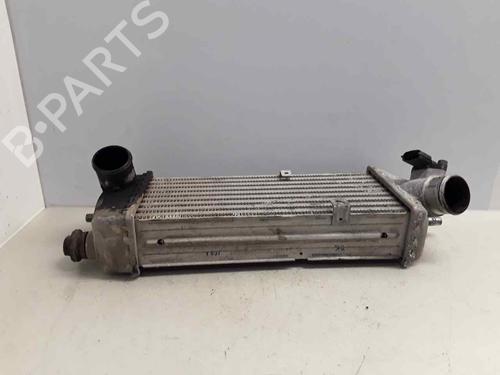Used Intercooler KIA RIO II (JB) 1.5 CRDi (110 hp) 17393447