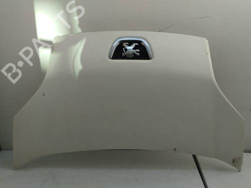 hood-peugeot-bipper-aa_-2008-22410593 main image