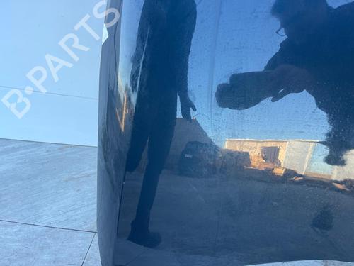 Hood CITROËN C4 II (NC_) | BP31117919C1