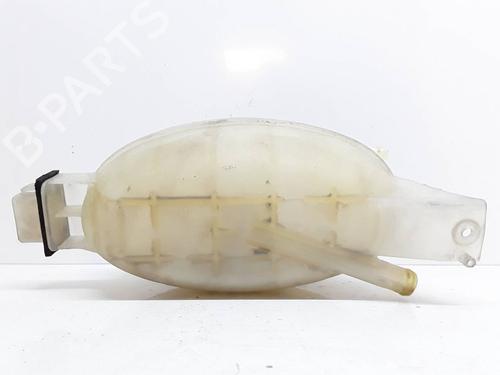 Expansion tank NISSAN PRIMASTAR Van (X83) 1.9 dCi 100 | BP9504162C120