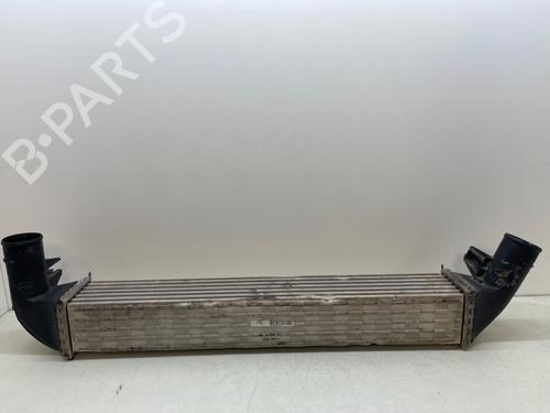 Used Intercooler SEAT IBIZA IV (6J5, 6P1) [2008-2017]  22334225