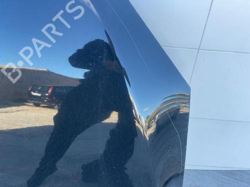 Hood RENAULT MEGANE III Hatchback (BZ0/1_, B3_) 1.2 TCe (BZ2B, BZ11) | BP31116662C1