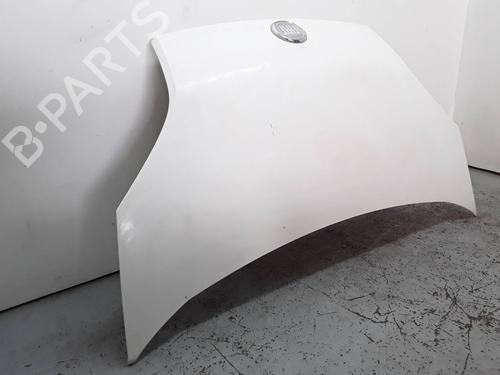 Hood FIAT FIORINO Box Body/MPV (225_) 1.3 D Multijet (225BXD1A, 225BXB1A, 225BXB11) | BP8215953C1 